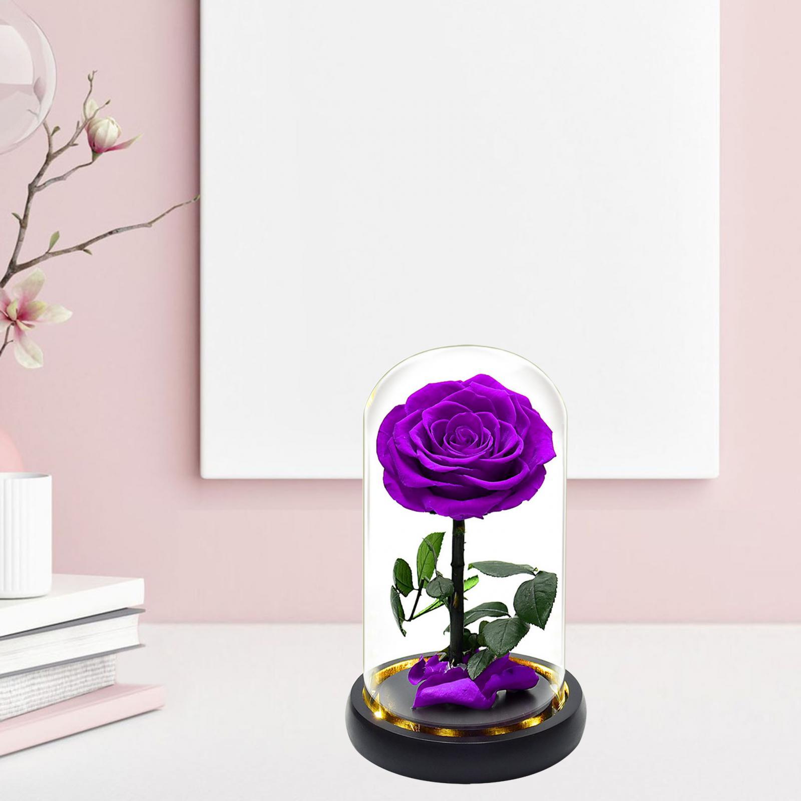 Light up Rose in Glass Dome Valentines Day Gifts for Her 