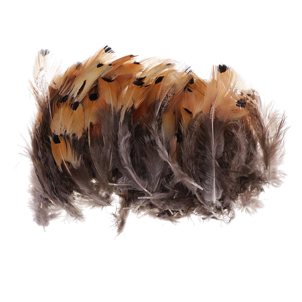 100 Pieces Natural Ringneck Chicken Pheasant Feathers 6 - 10cm for Crafting