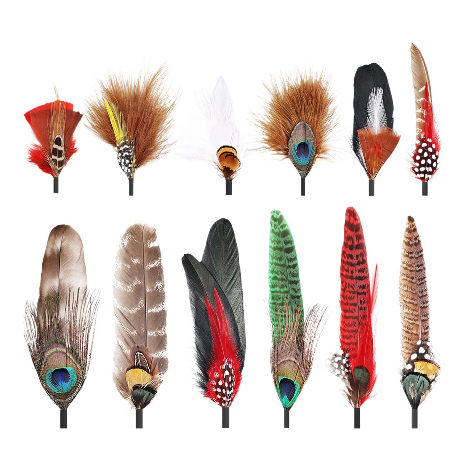 Cowboy Hat Feathers Style D