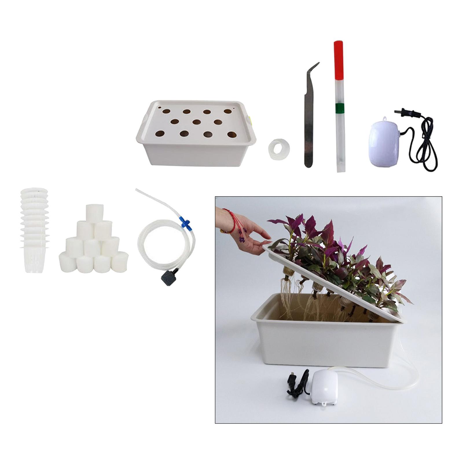 Plant Site Hydroponic System Kit Self Watering Plant Box with Air Pump