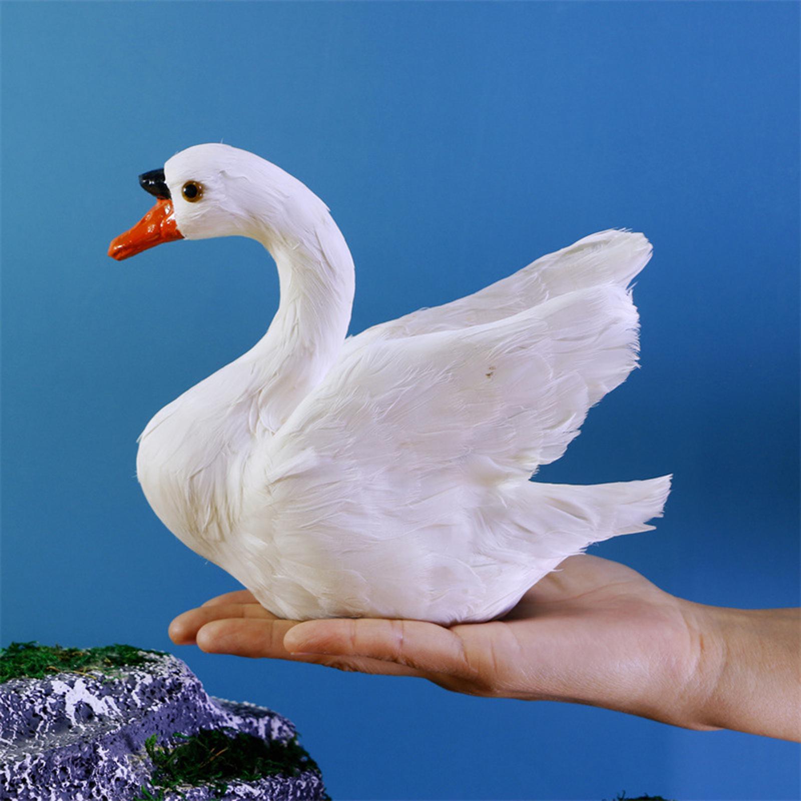 Artificial Swan Model Lifelike Feathered Bird Model for Patio Lawn Courtyard