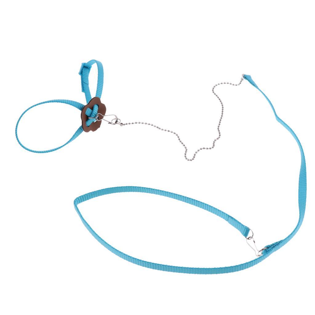 Leopard Gecko Harness Leash Reptile Rat Lizard Hamster Sugar Glider