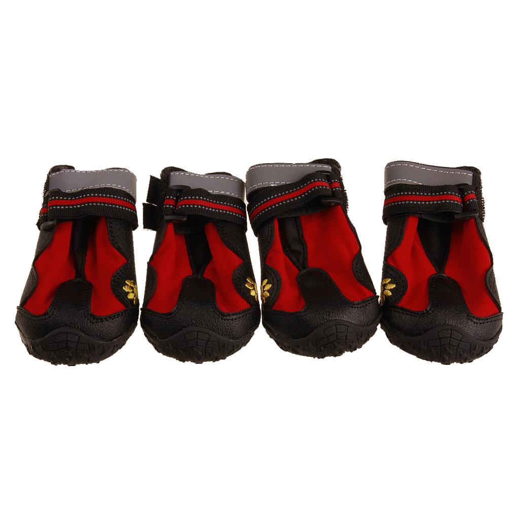 stylish dog walking boots