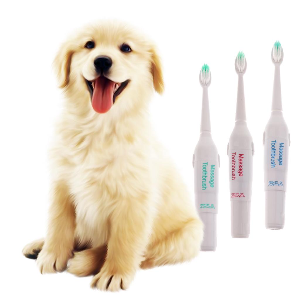 Haustier Elektrische Zahnbürste Set für Hunde und Katzen eBay