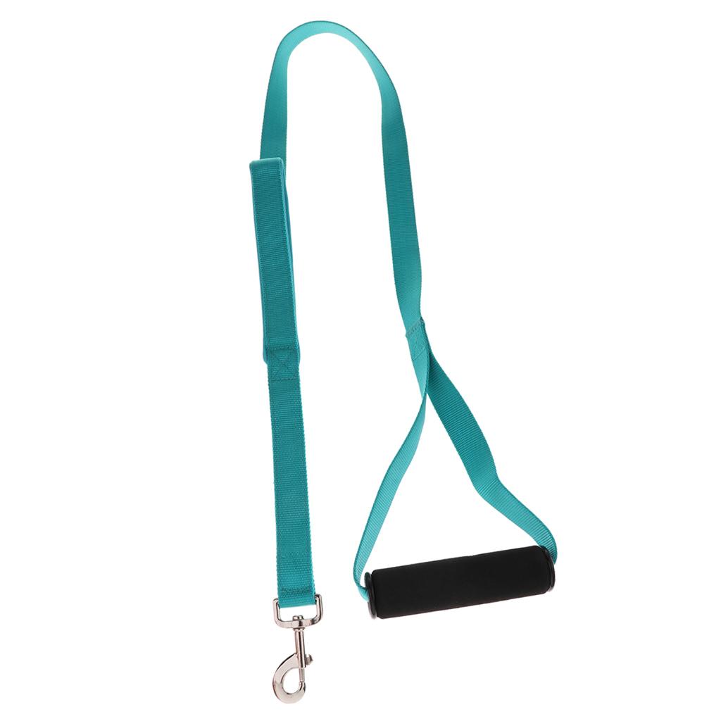 Padded Double Handle Dog Leash Dog Training Leash Walking Lead Light Blue