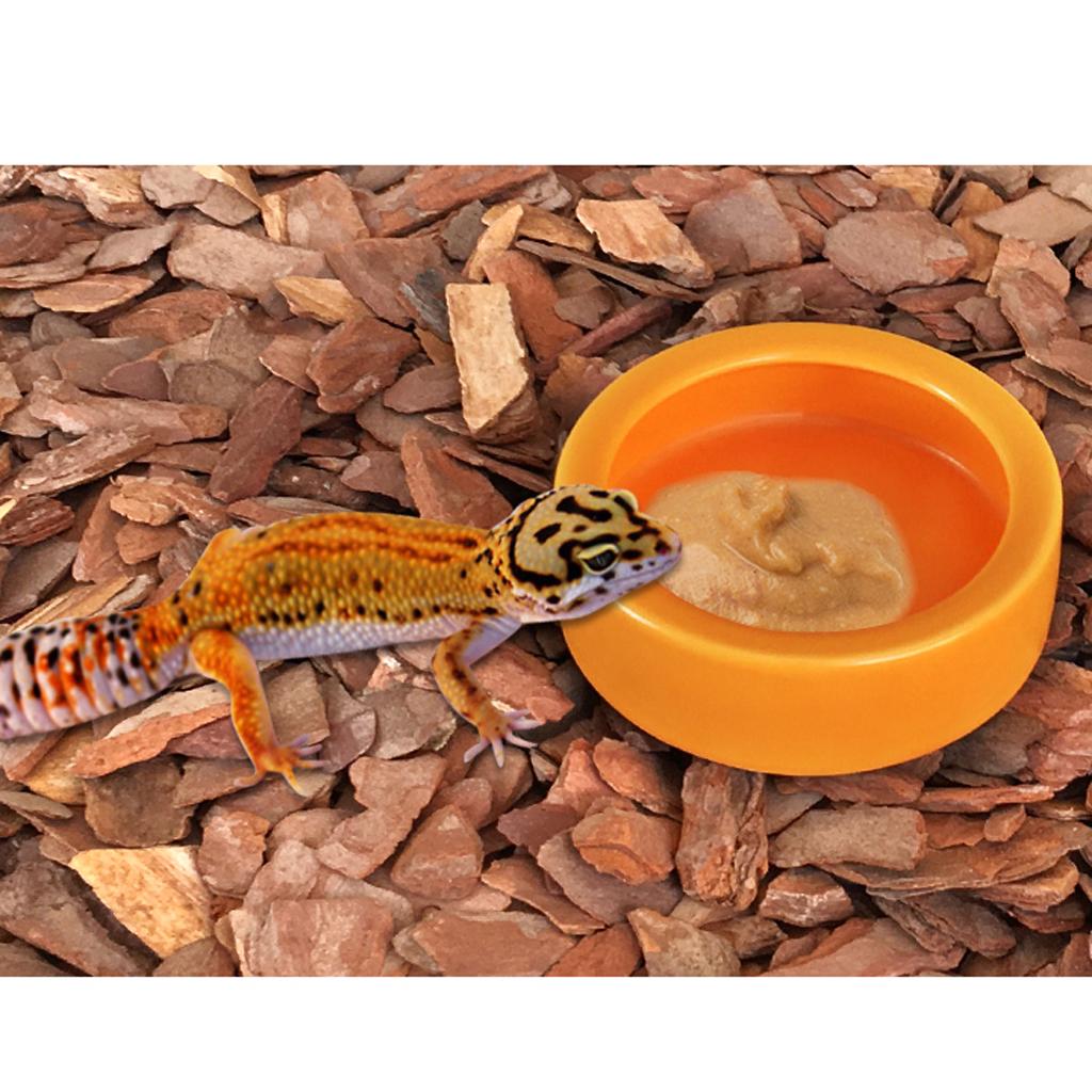2Pcs Smooth Ceramic Antiescape Worm Dish for Reptile Feeding Food