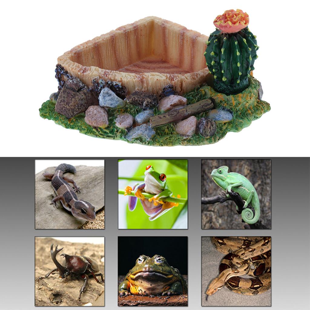 Reptile Water Dish Water Bowl Feeding Tray Tortoise Turtle