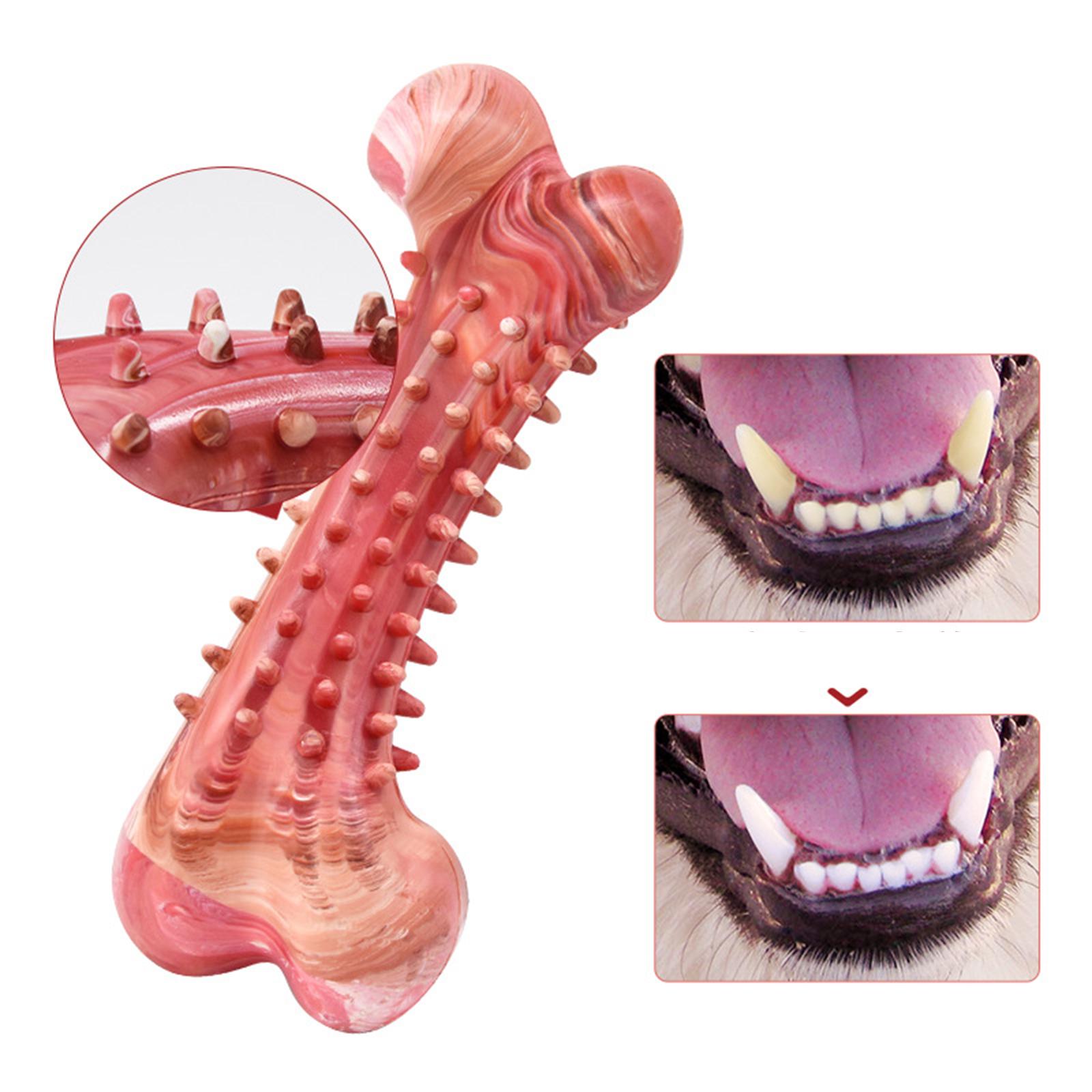 Rubber Dog Chew Toy Puppy Teether 20x7.5cm Chewing Bones Tooth Cleaner