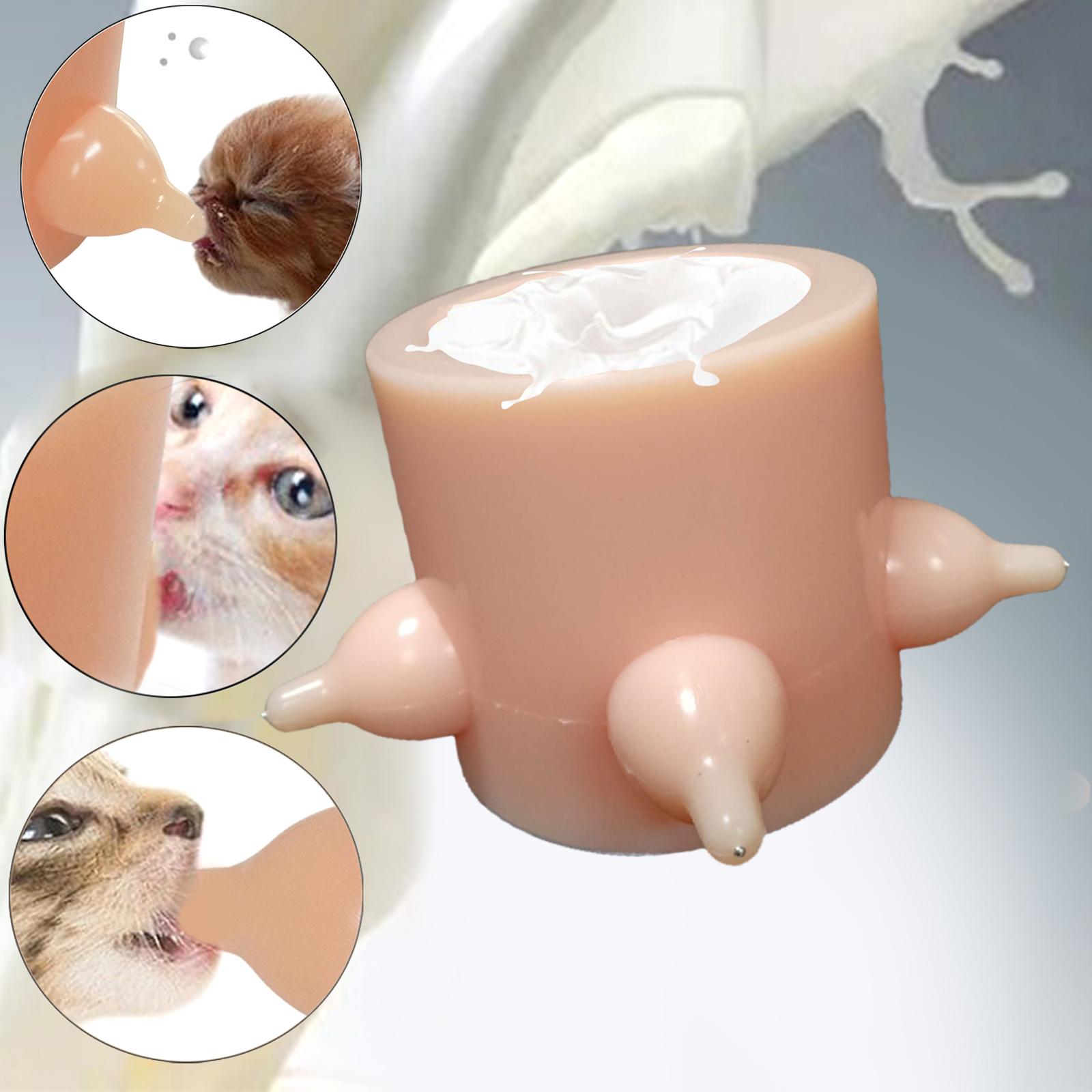 Kitten Doggie Puppy Milk Feeder Feeding Bowl Nursing Inner H 7.5CM