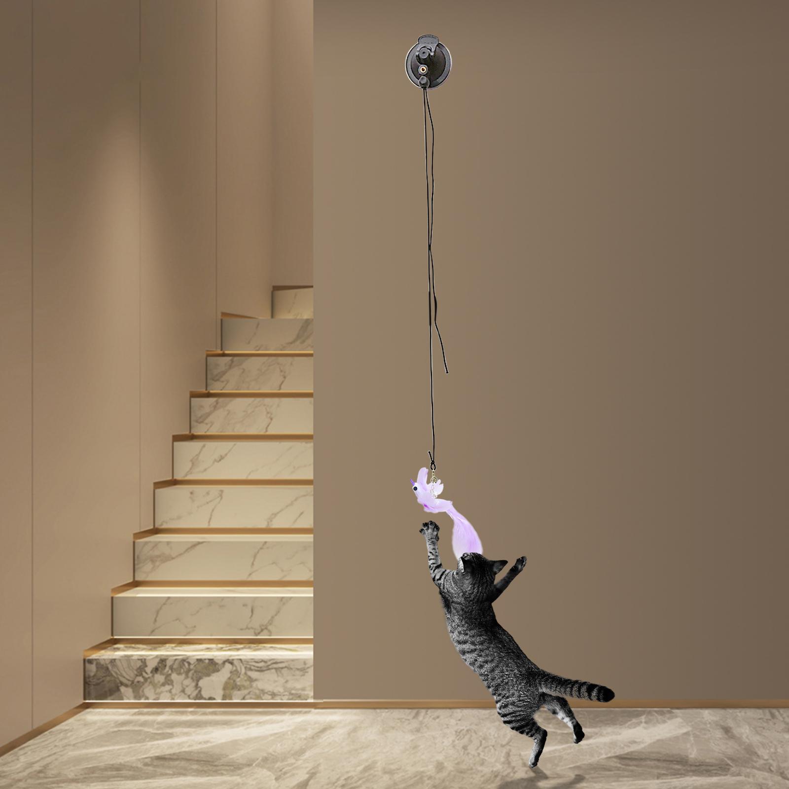 Interactive Cat Toys Teaser Stick Cat Feather Wand Toy Purple Bird