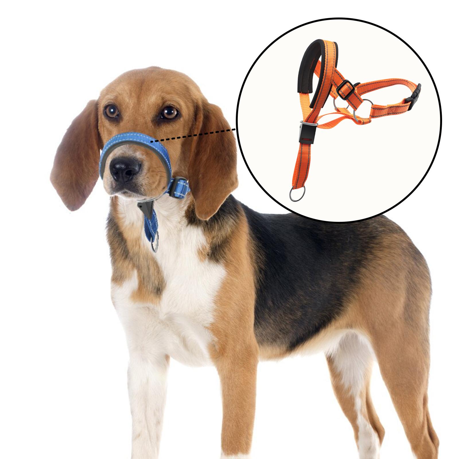 Dogs Muzzle Breathable Dog Mouth Cover for Aggressive Dog Orange XL
