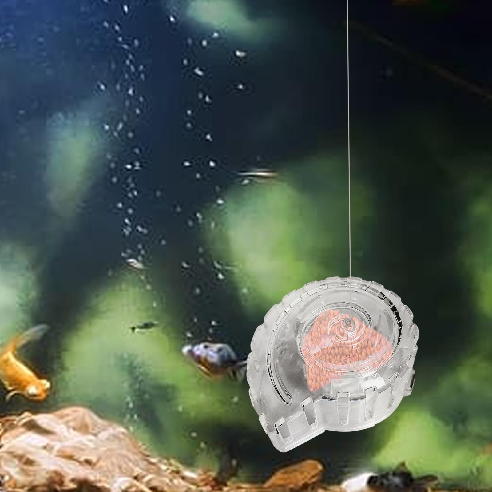 Snail Catcher Practical Lightweight Sturdy Multitool Easy to Use Transparent