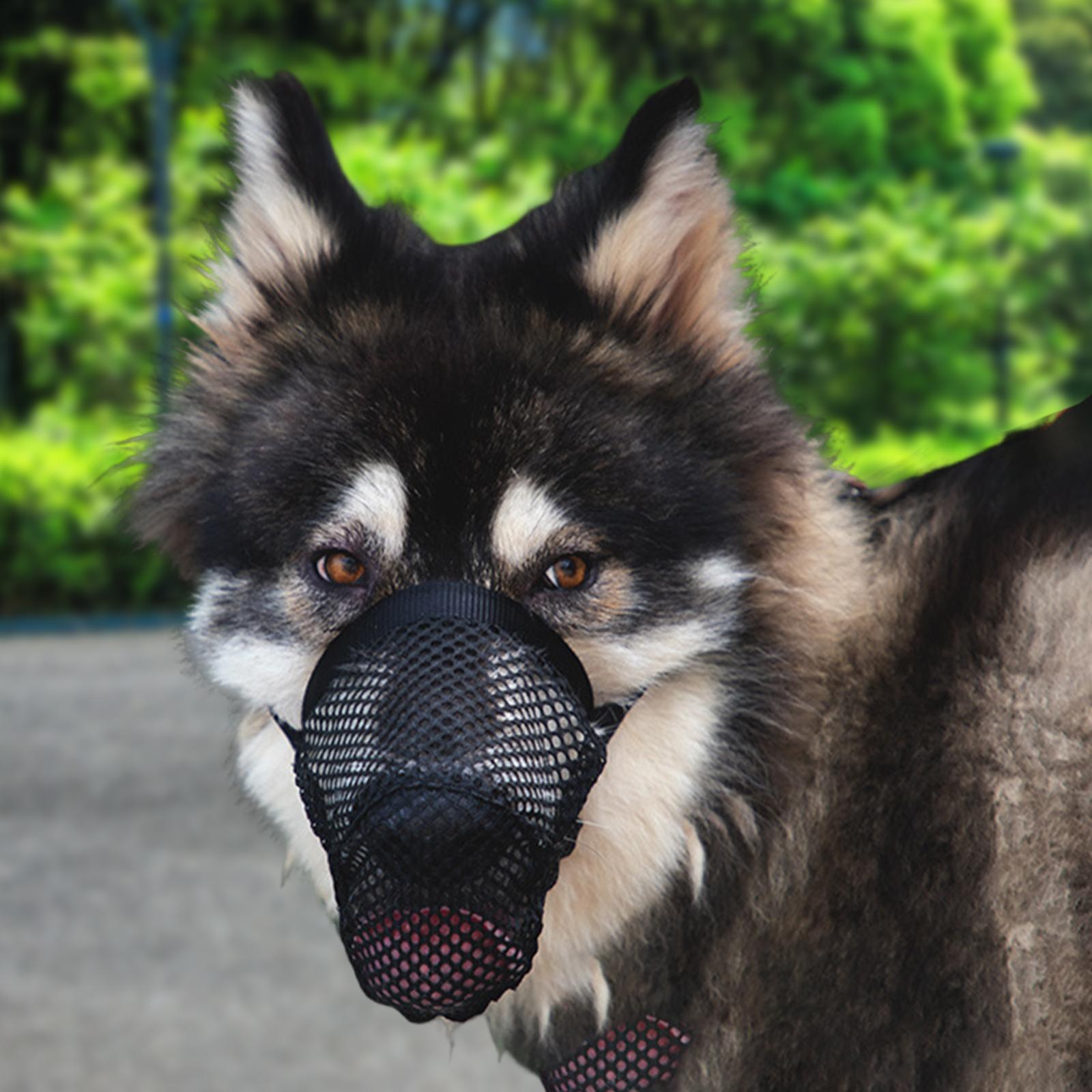 Dog Muzzles Anti Biting Barking Chewing Breathable Dogs Training Mouth Cover M