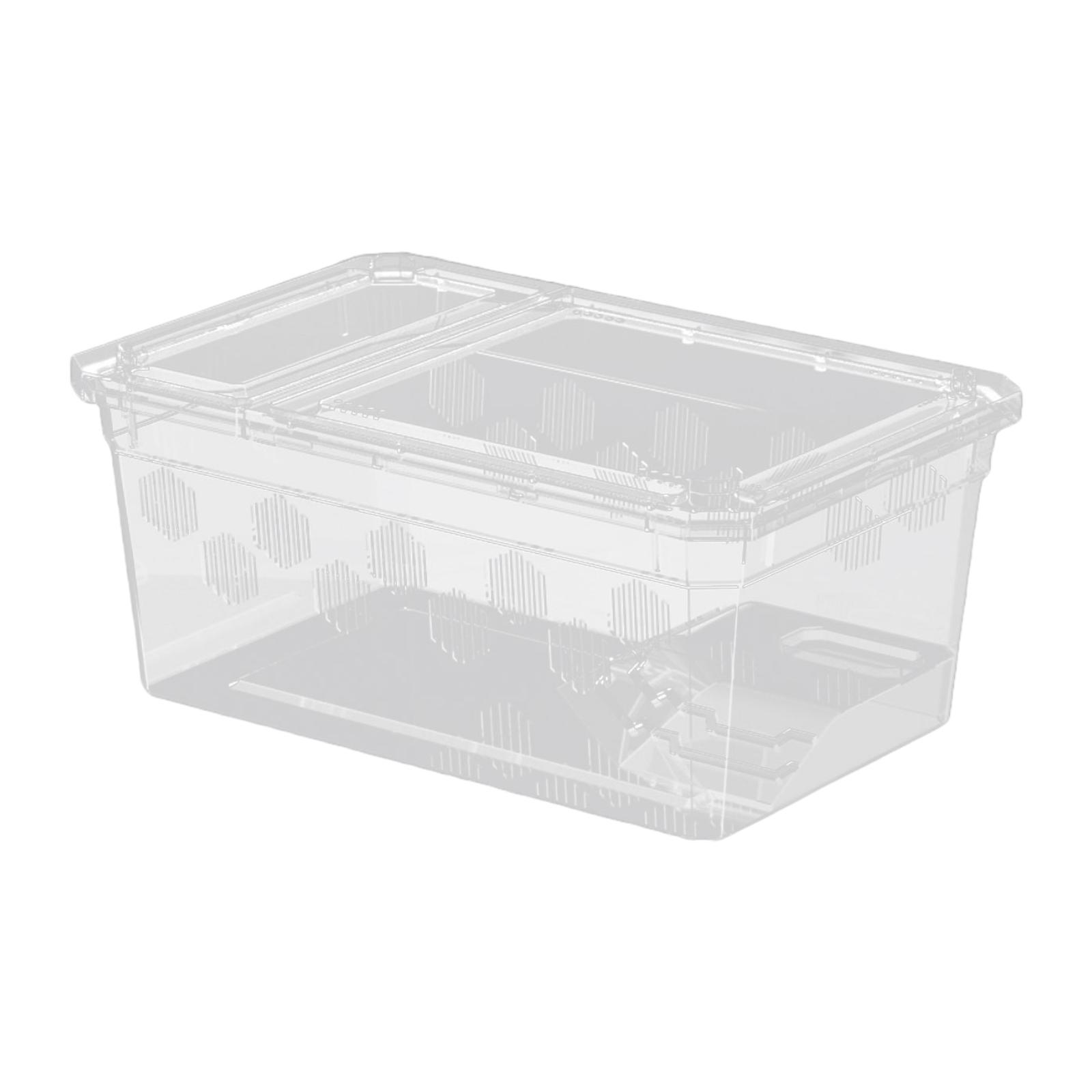 Reptile Feeding Box with Terrace