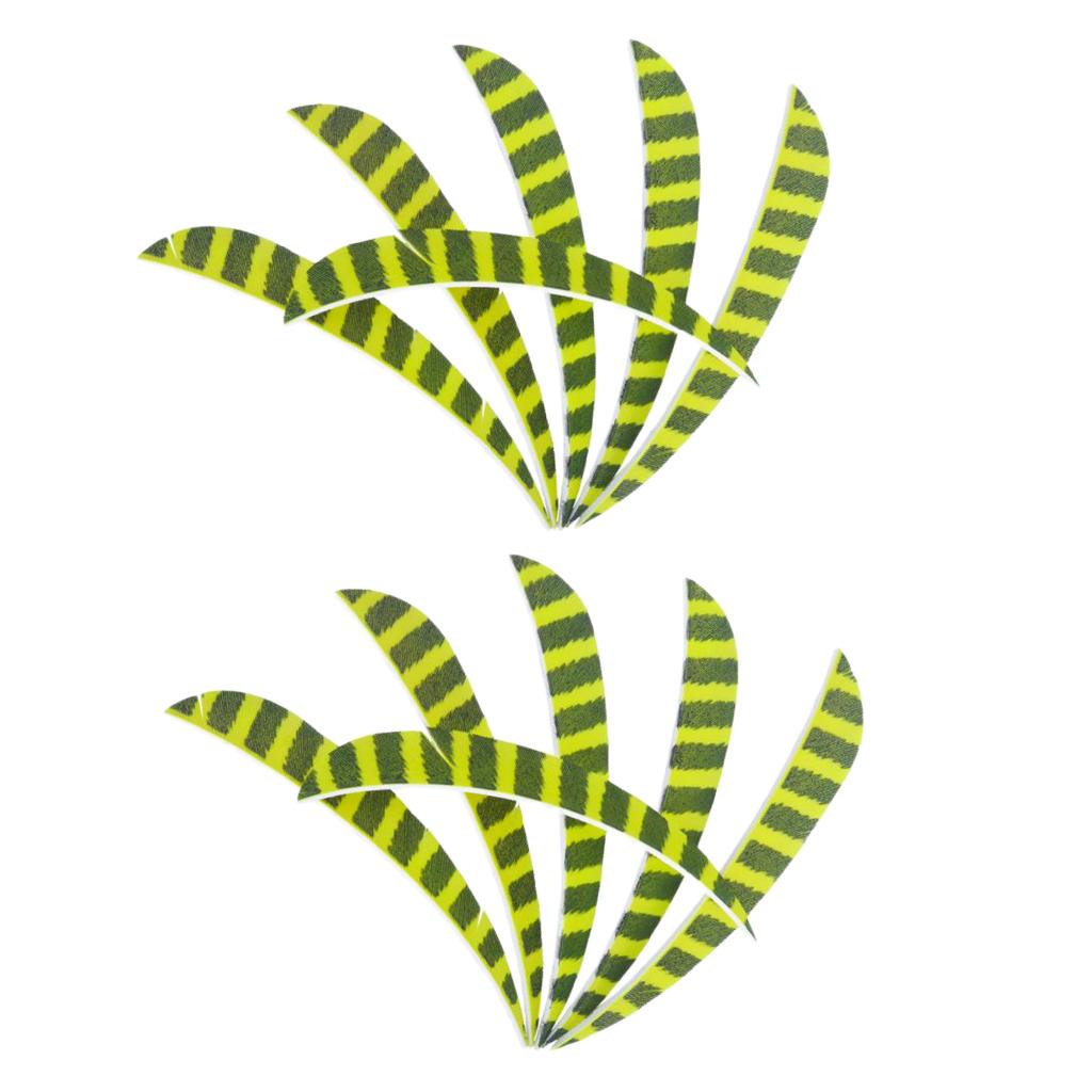 Archery Arrow Feathers