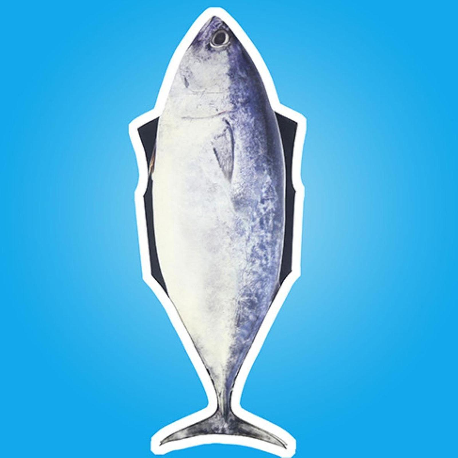 Fish Costume Fancy Dress Halloween Costumes for Holiday Masquerade Role Play