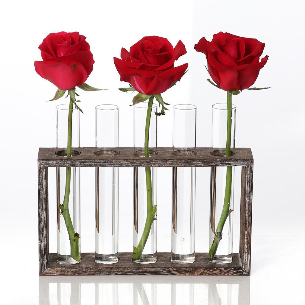 Test Tube Flower Vase ChairWooden Stand for Hydroponic Plant 5 Tube