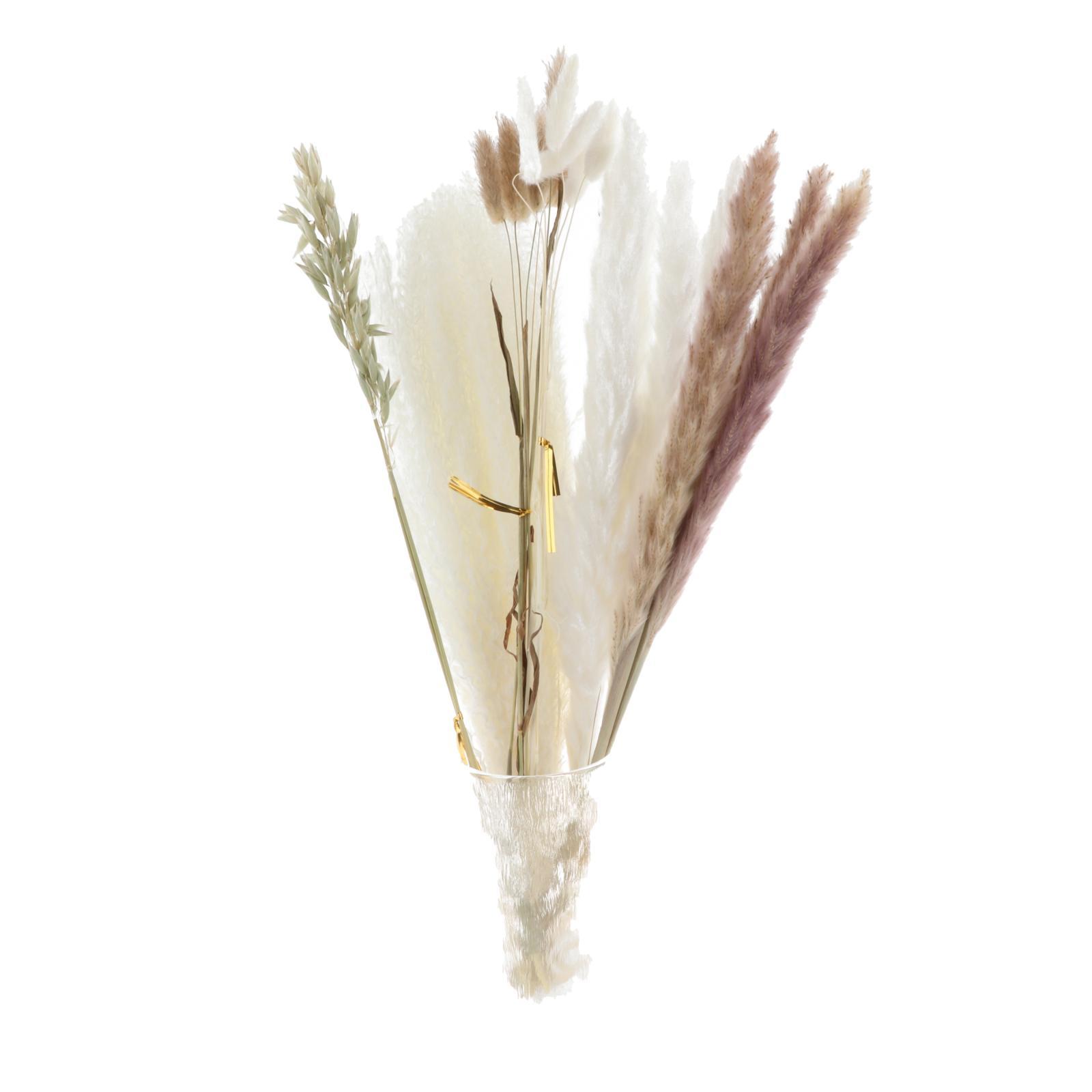 30x Dried Pampas Grass Bunch Bouquet Flowers Arrangement Reed Flower Style D