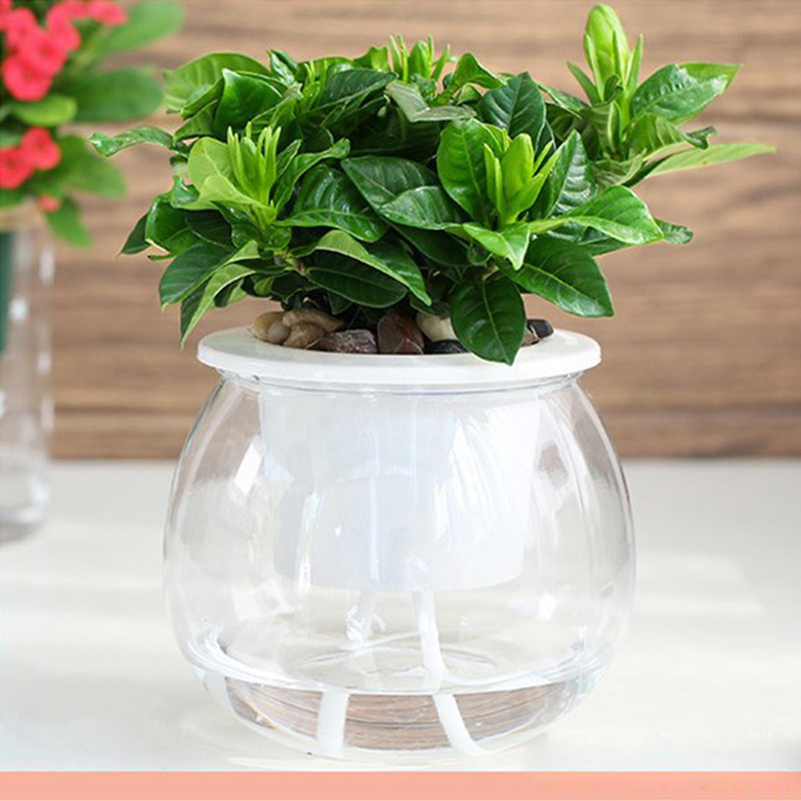 Modern Self Watering Planter Pots Flower Pots for Gardening Window Kitchen styleA