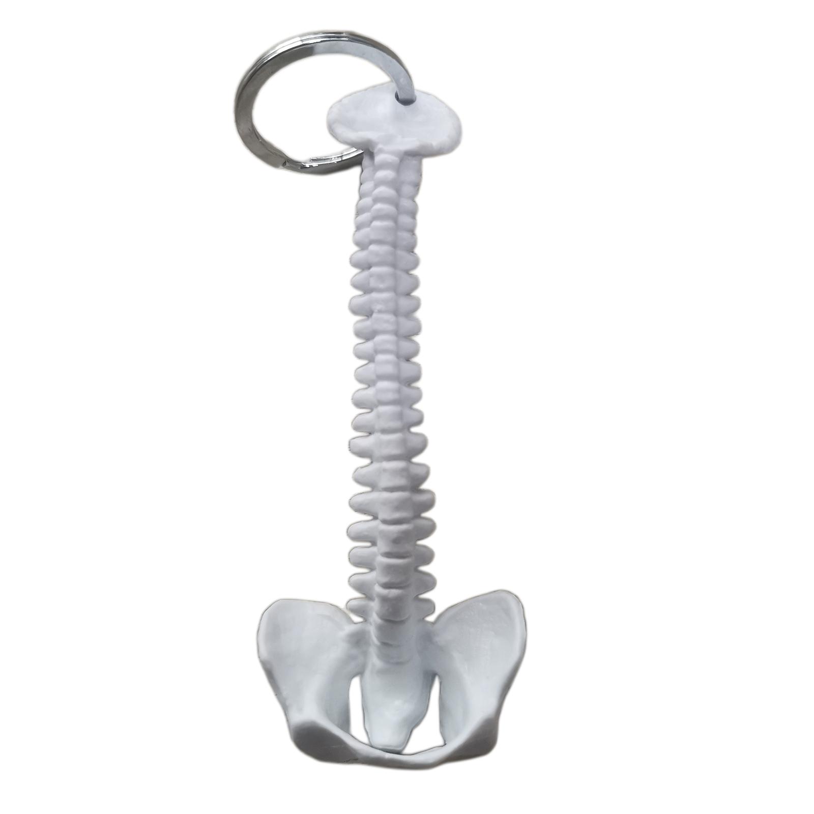 Spine Skeleton Keychain