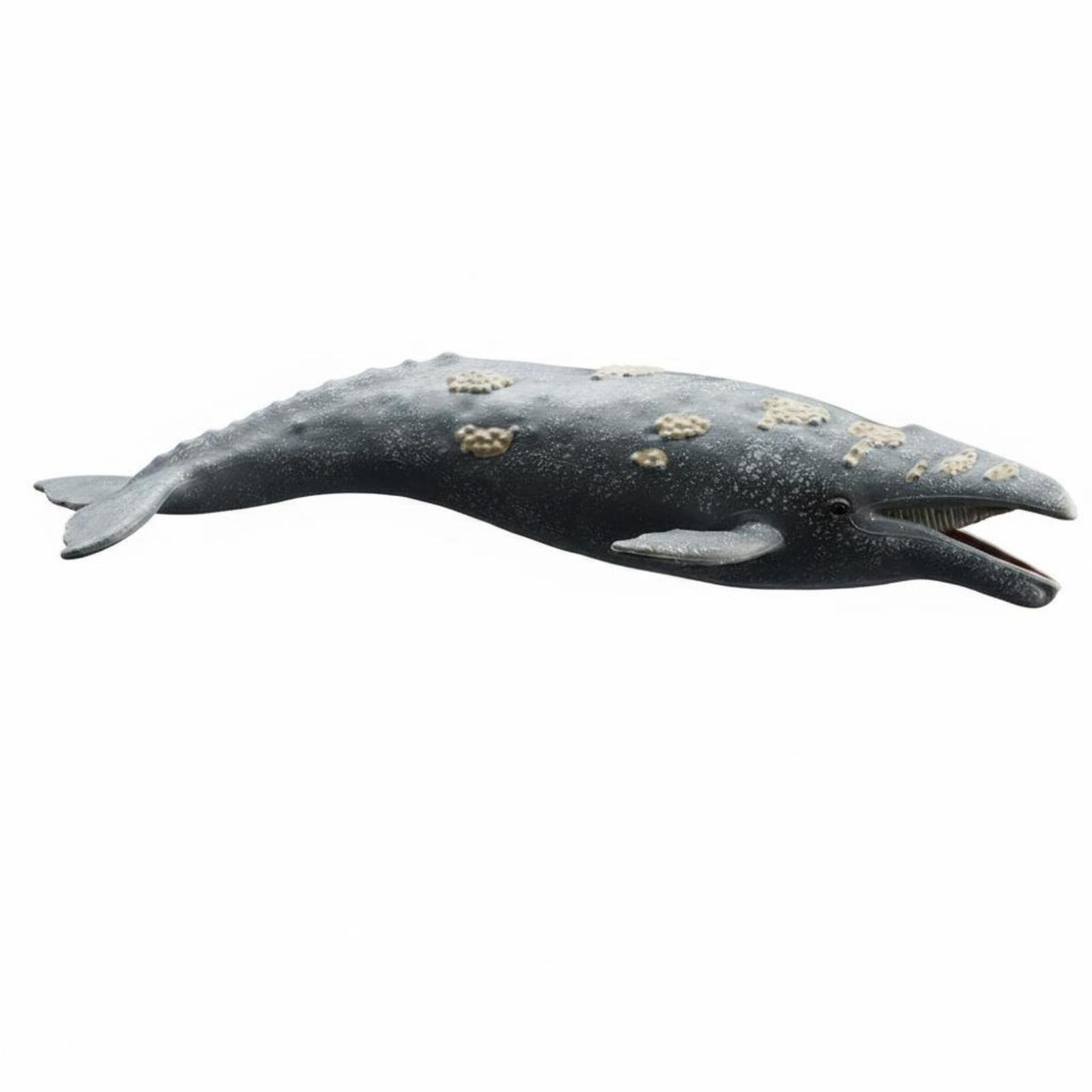 Gray Whale Figurine Model