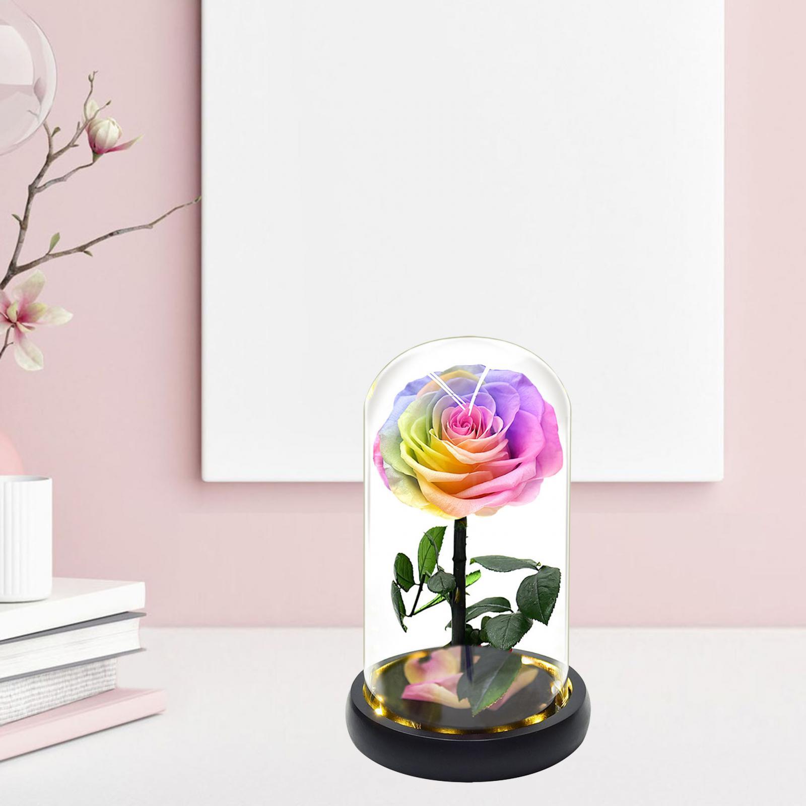 Light up Rose in Glass Dome Valentines Day Gifts for Her 