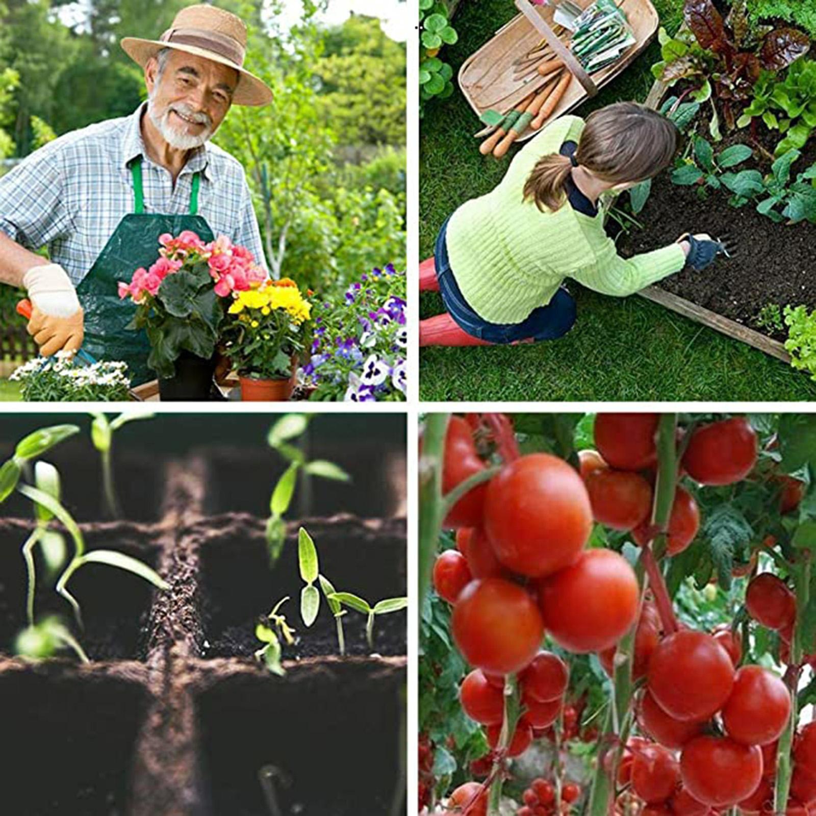 Plantable Plants Nursery Pots Peat Pot for Plants Eco Friendly 100Pcs