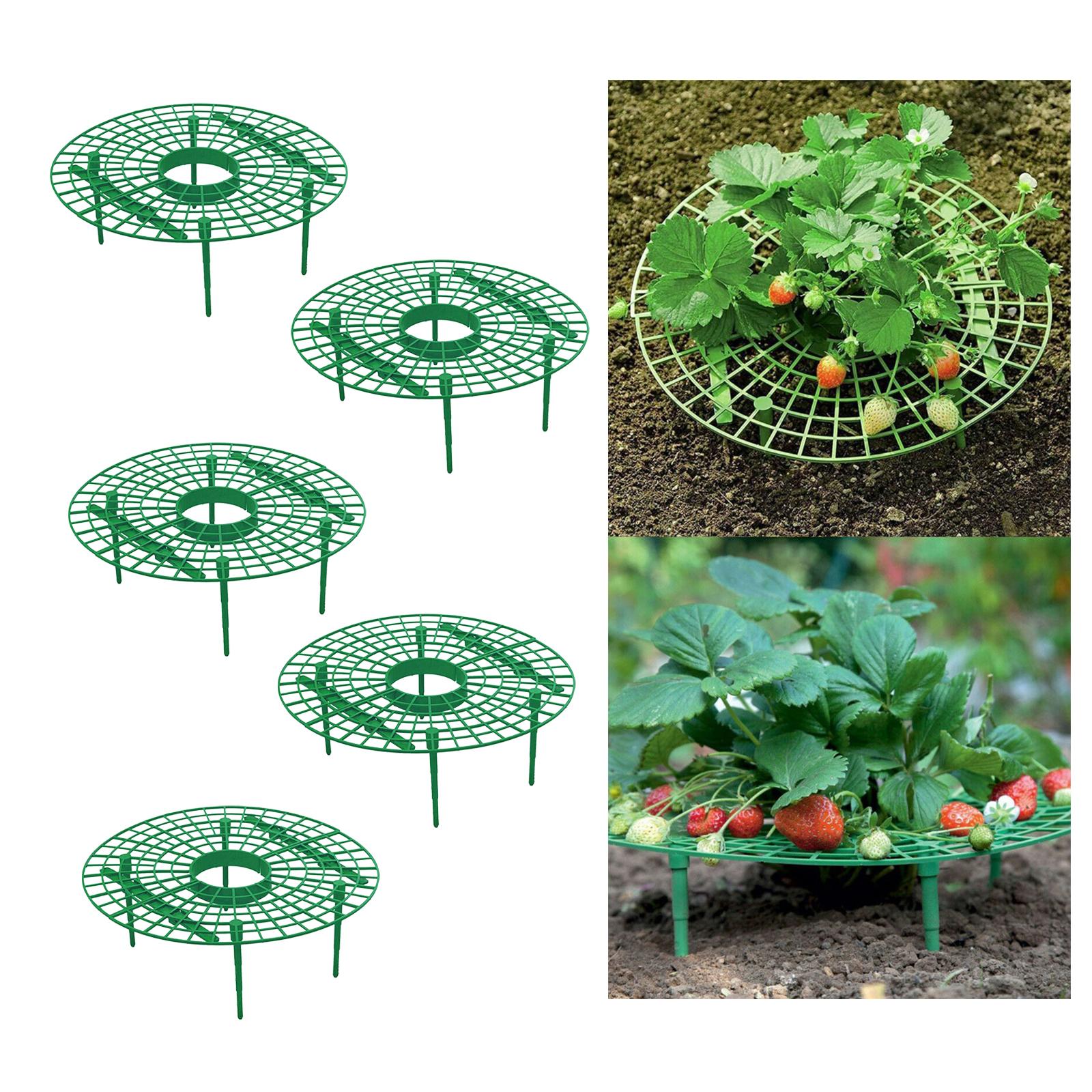 5 Pieces Strawberry Support Reusable Garden Farm Planting Plant Holder Stand