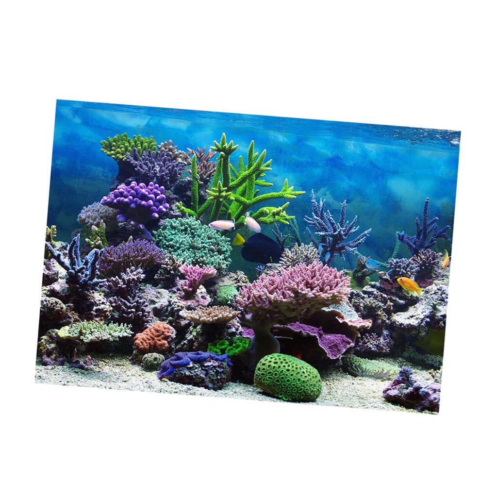 Berikut 11 Stiker  Aquarium  Paling Heboh 