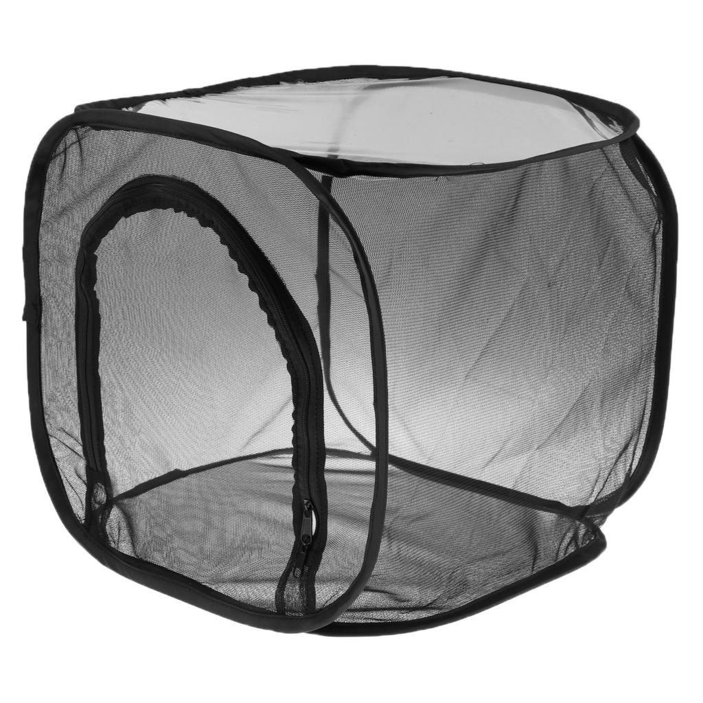 Butterfly Habitat Cage Insect Net Mesh Terrarium Pet Cage Incubator Foldable 