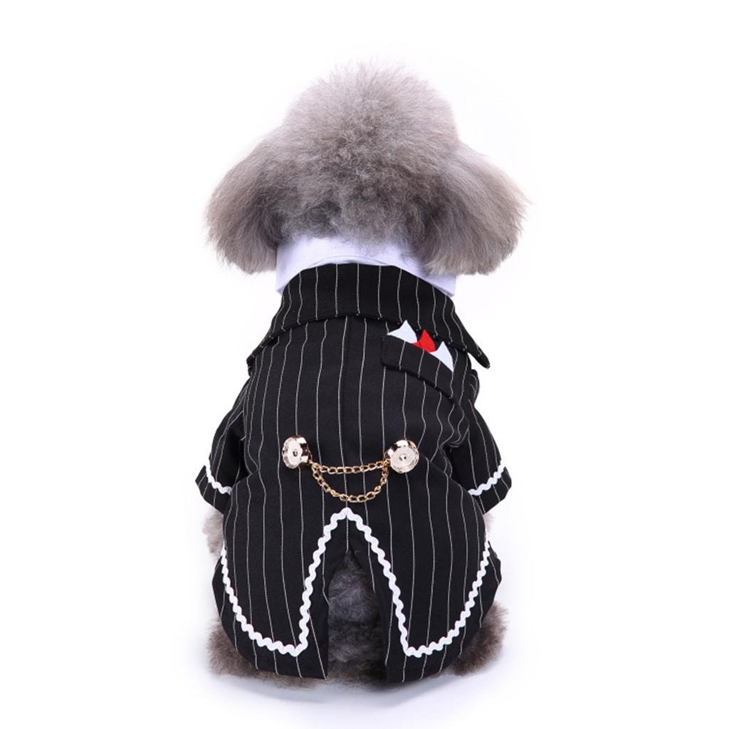 Gestreift Smoking Anzug für Hunde eBay