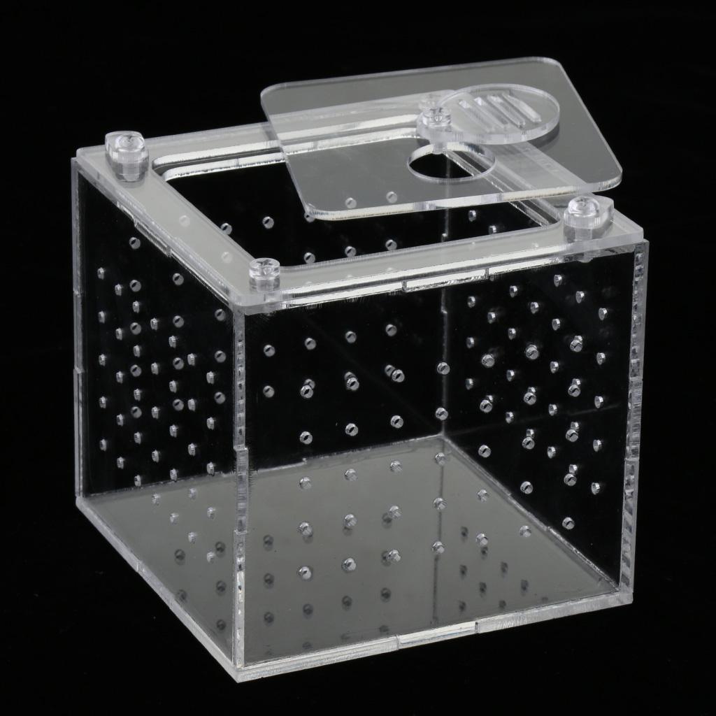 Clear Acrylic Box Tank Small Animal Keeper Reptile Insects Terrarium ...