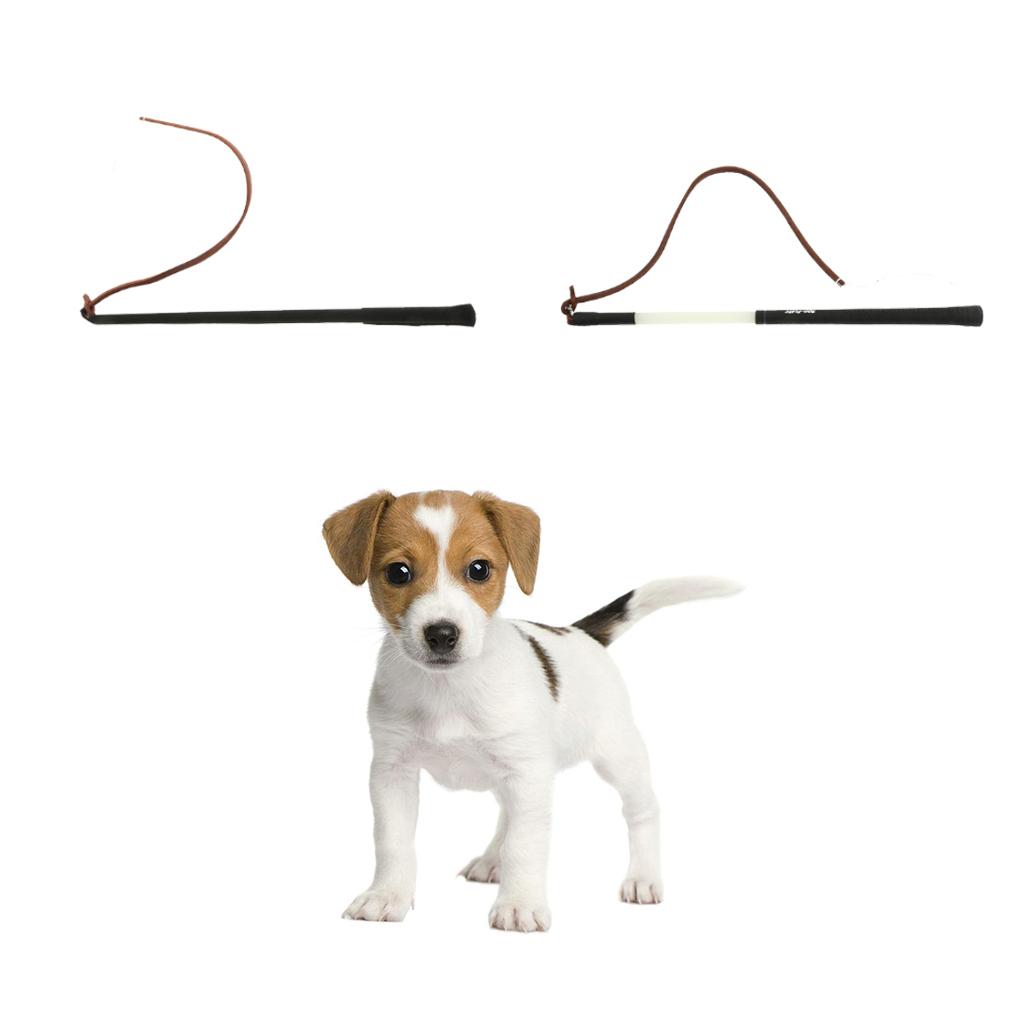 Dog Training Whip Pet Protection Gear Pet Interactive Toy White-Black Rod