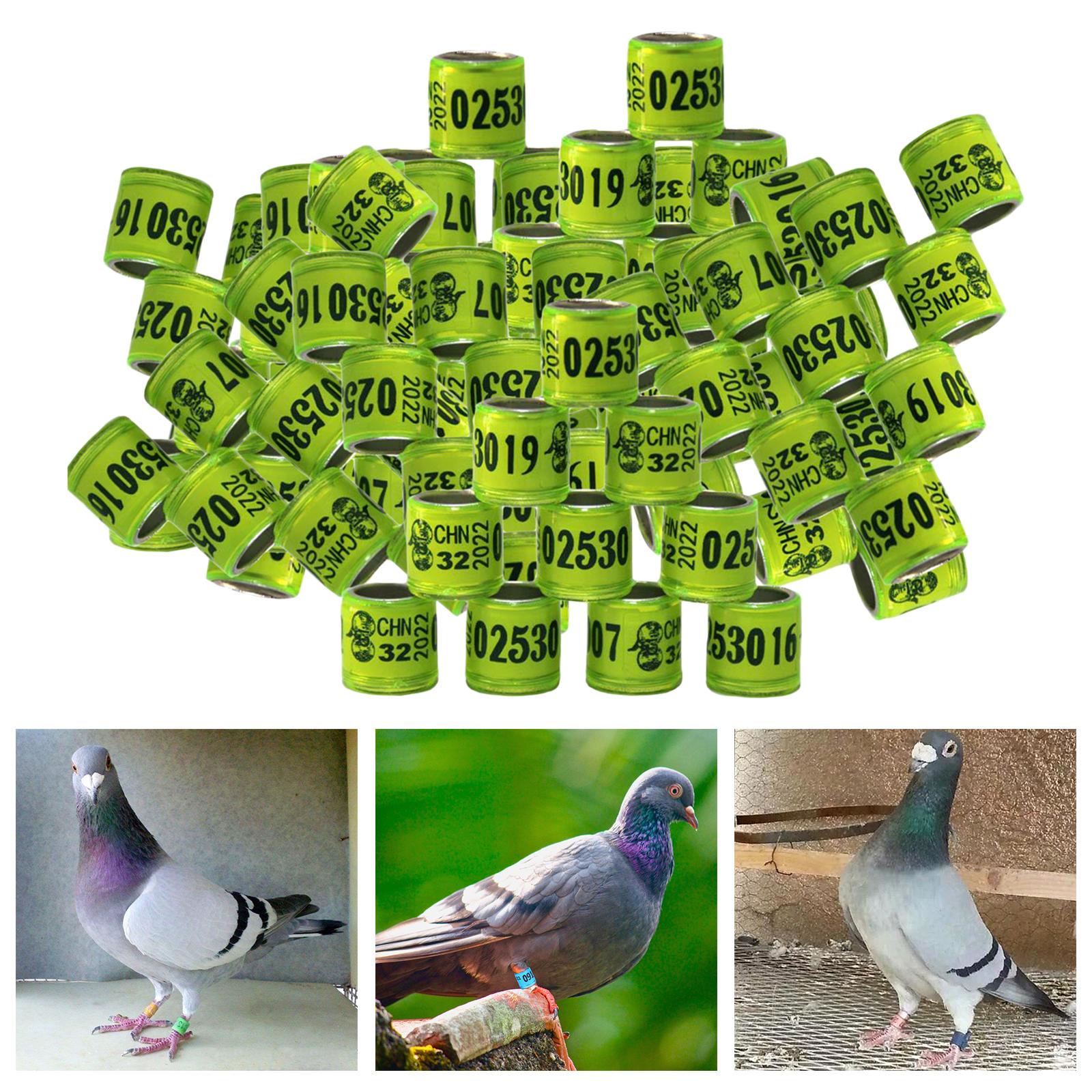 100Pcs 2022 Aluminium Bird Racing Pigeon Foot Rings Bands 8mm Yellow