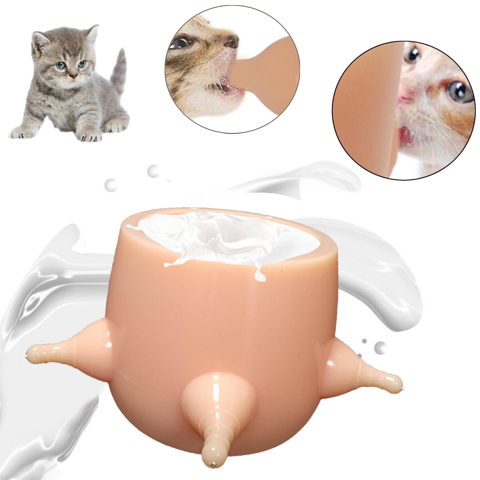 Kitten Doggie Puppy Milk Feeder Feeding Bowl Nursing Inner H 6CM