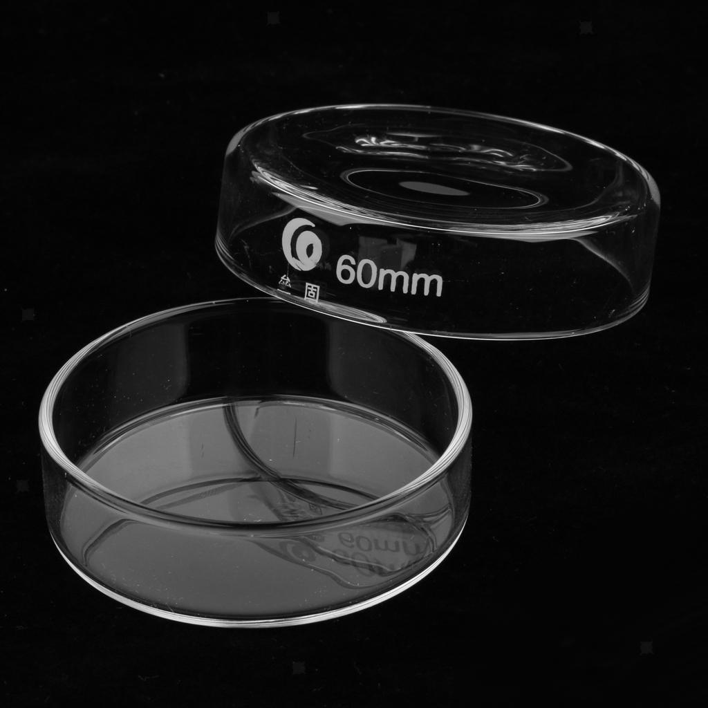 Petri Dish Glass Sterile Cell Plants Tissue Culture Dishes 60mm/75mm ...