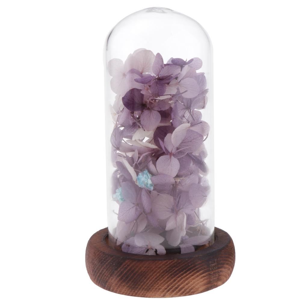 Wedding Preserved Hydrangea Flower Glass Display Valentines Gifts Purple