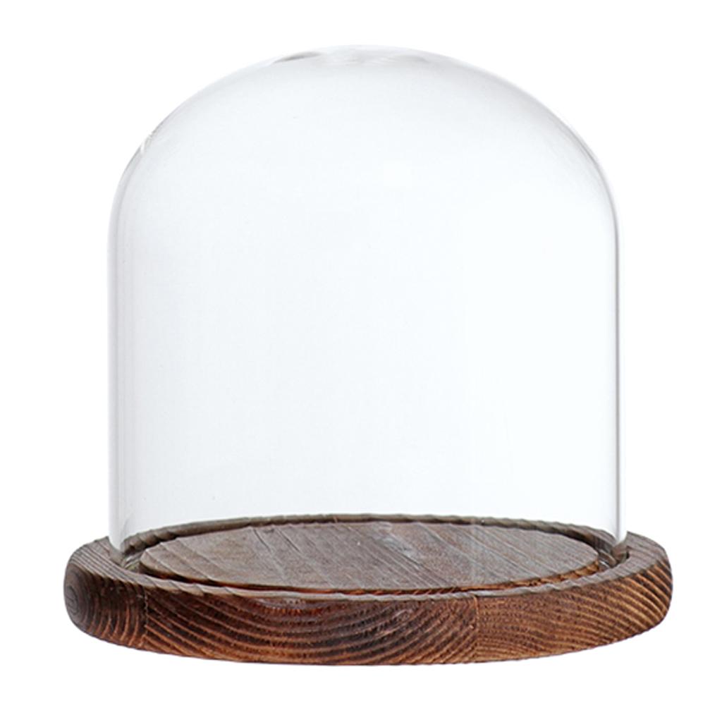 Glass Dome Cloche with Wood Base Flower Landscape Holder Glass Cover Brown E