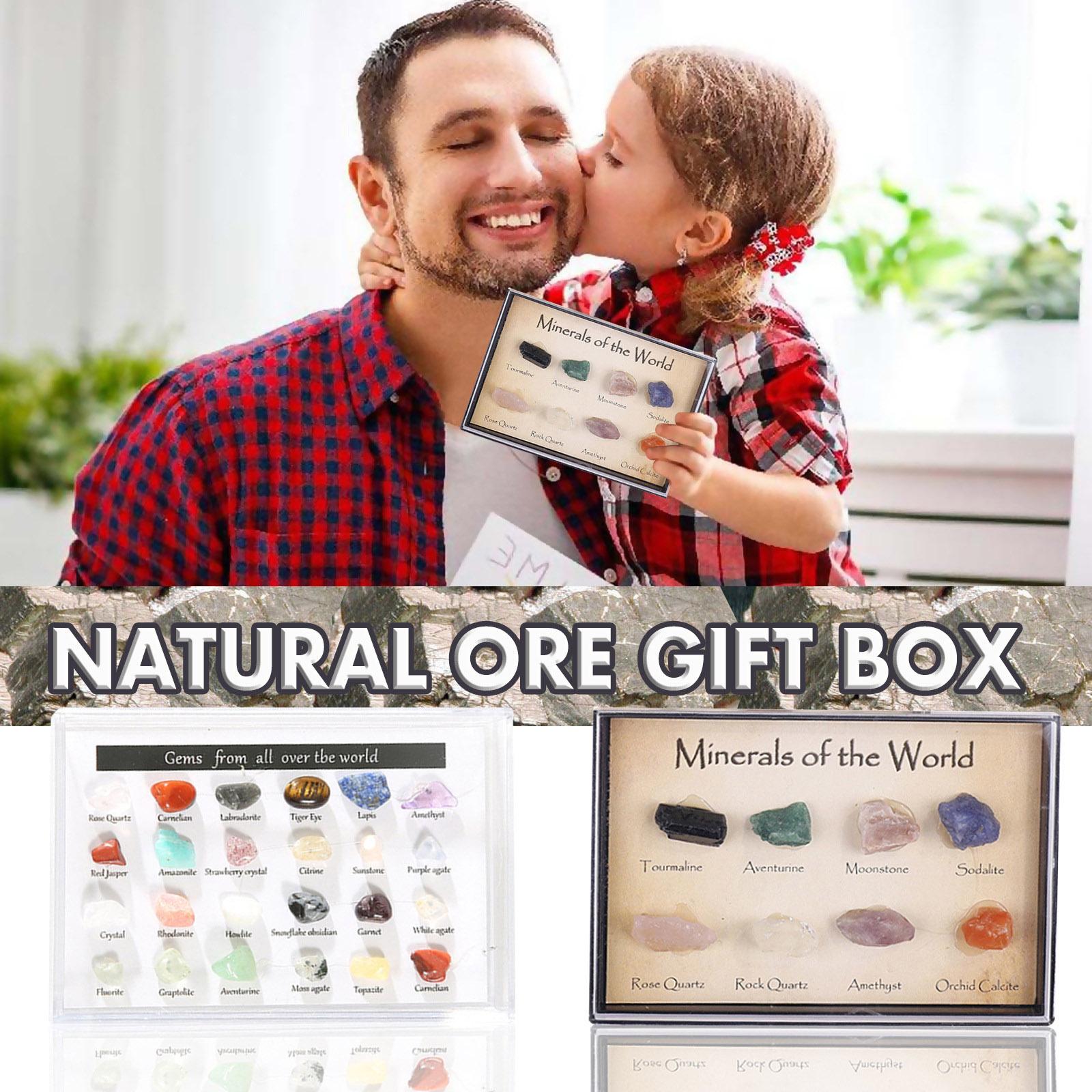 Fossil Collection Box Mini Natural Mixed Natural Ore for School for Children Set 1