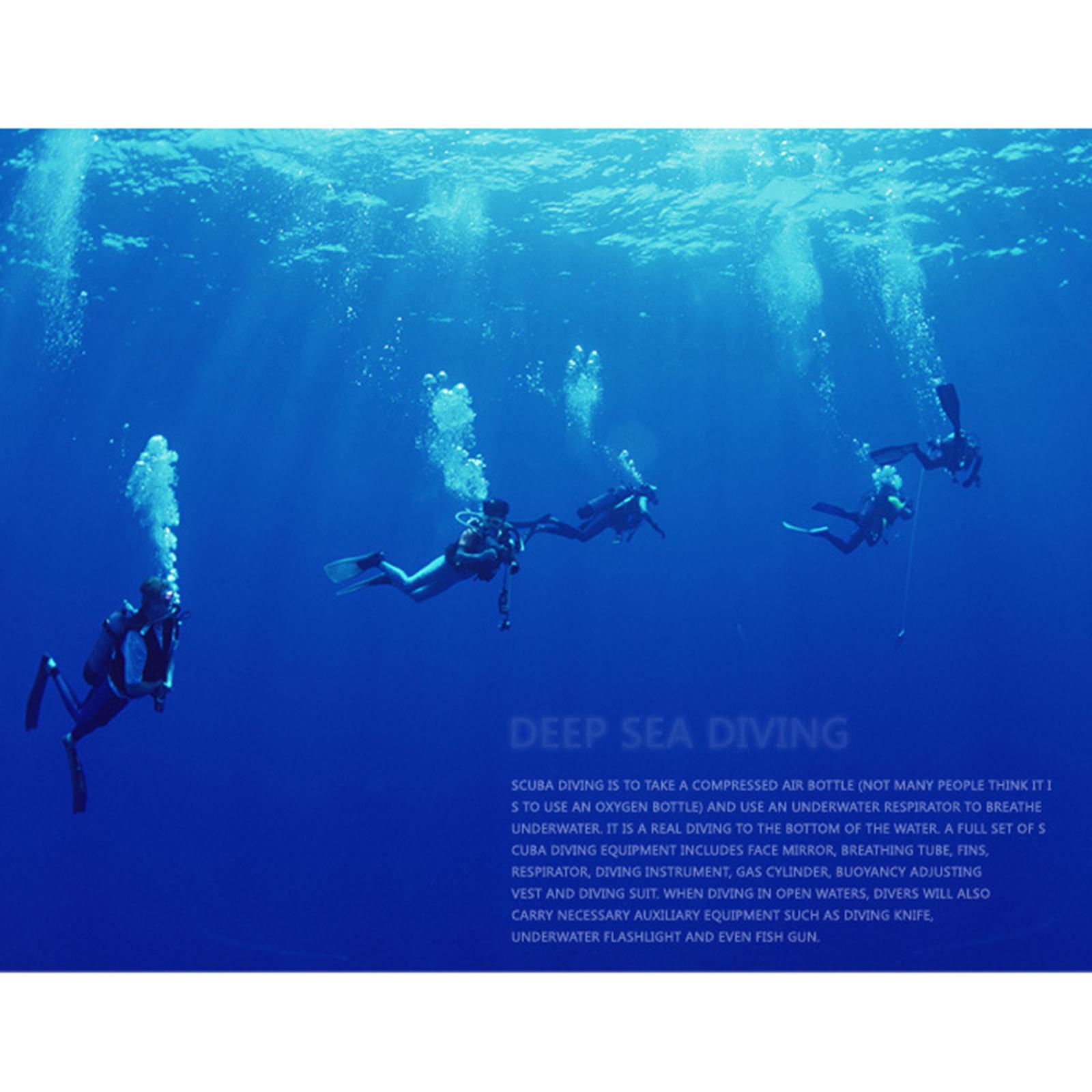 Scuba Diving Regulator Second Stage Pressure Reducing Valve Octopus Blue