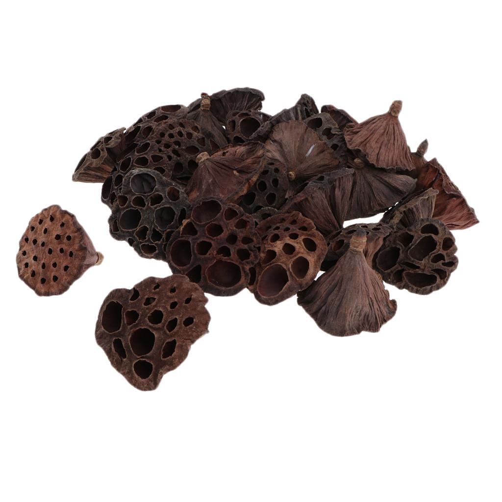 Dried Lotus Pods