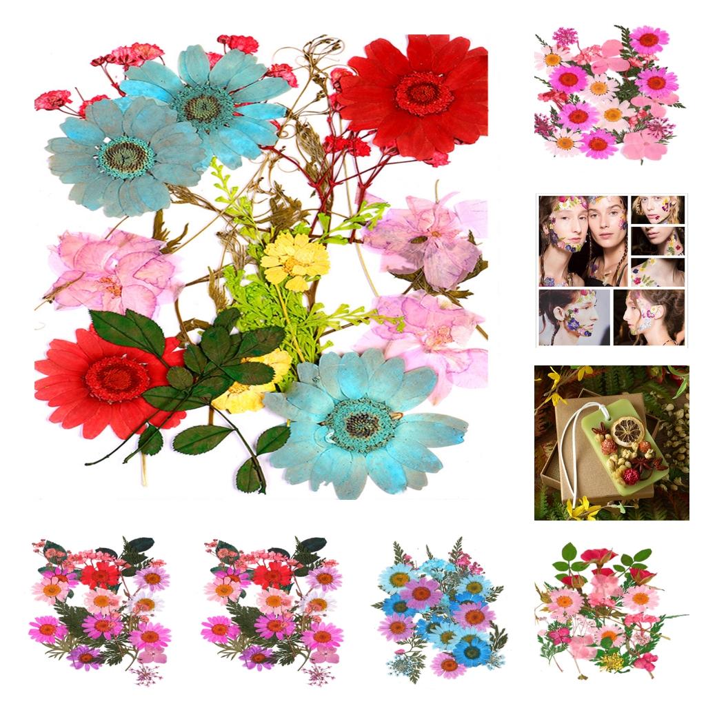 25Pc Natural Real Pressed Dried Flowers DIY Scrapbooking A