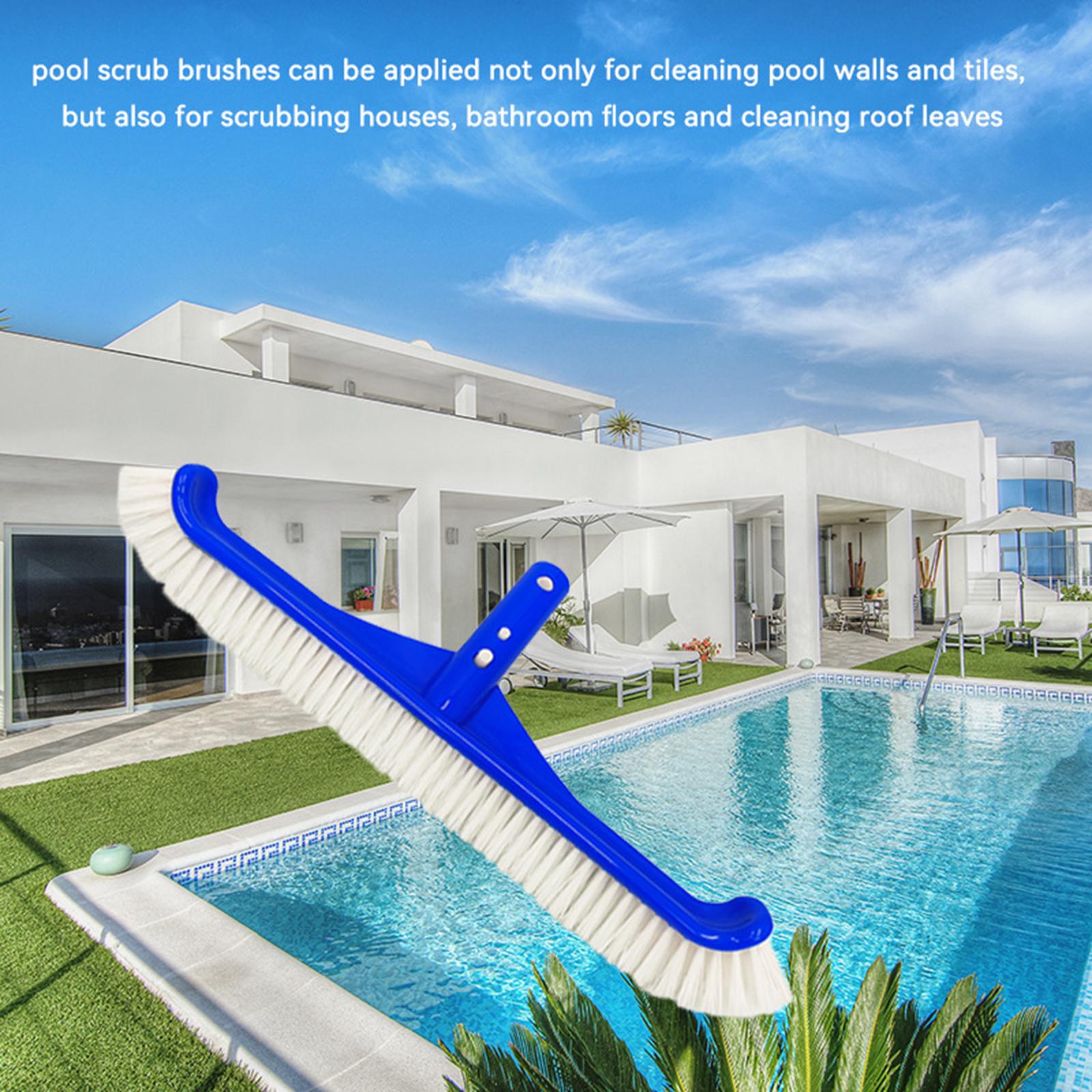 Swimming Pool Cleaning Brush Head Inground above Ground Pool SPA Curved Edge