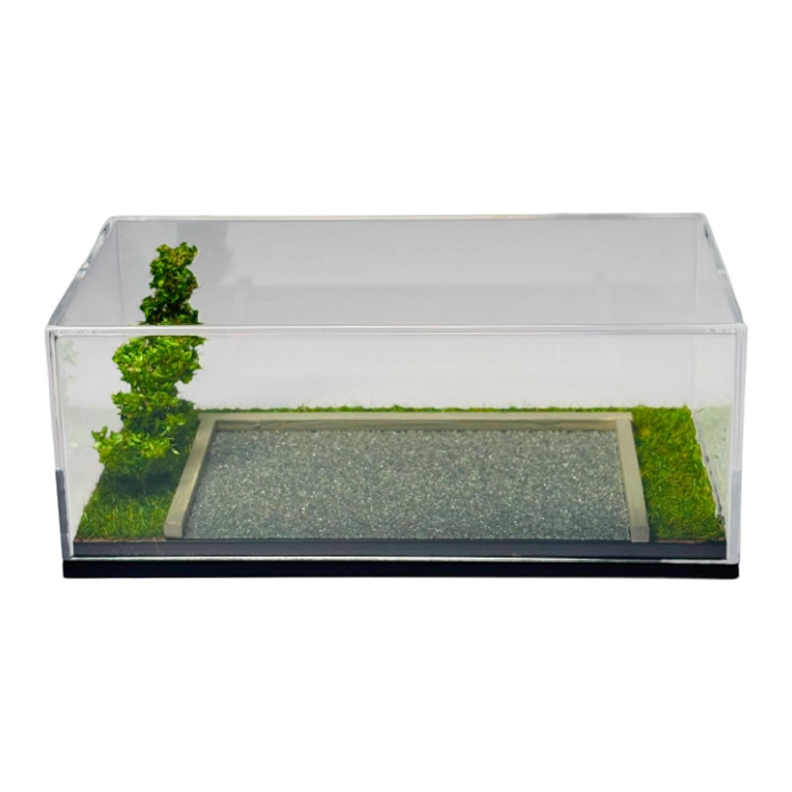 Model Car Display Case 1/64