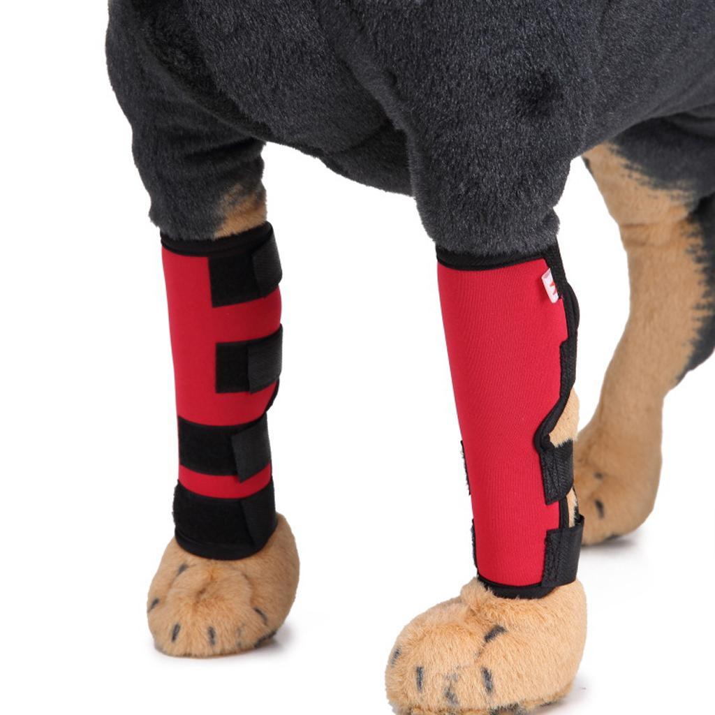 Neopren Knieschutz Gelenkbandage für Hunde Hinterbein oder Vorderbein