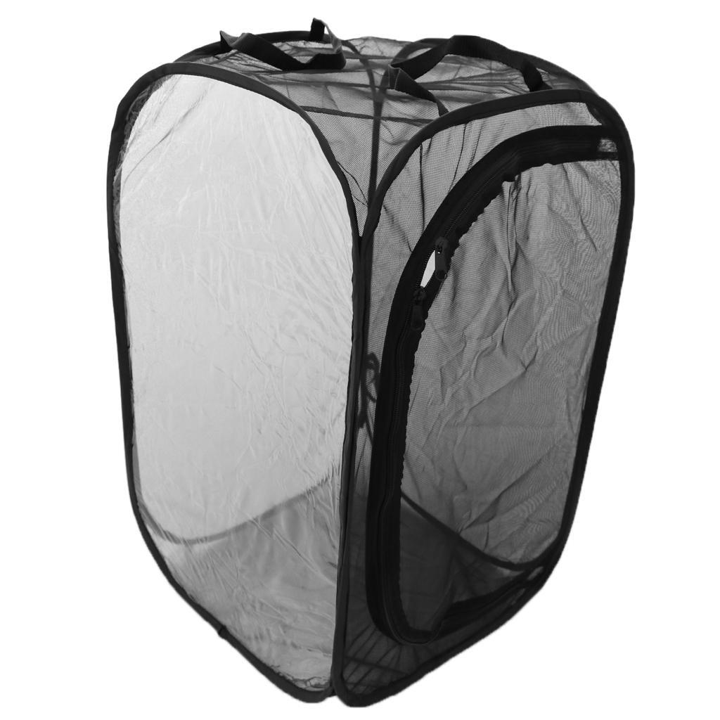 Butterfly Habitat Cage Insect Net Mesh Terrarium Pet Cage Incubator ...