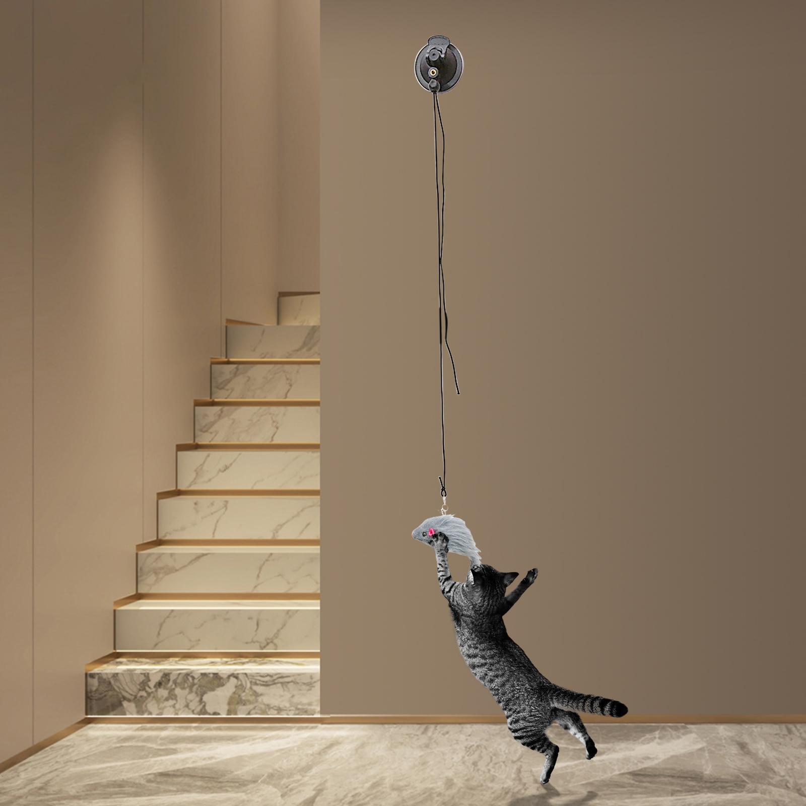 Interactive Cat Toys Teaser Stick Cat Feather Wand Toy Mouse