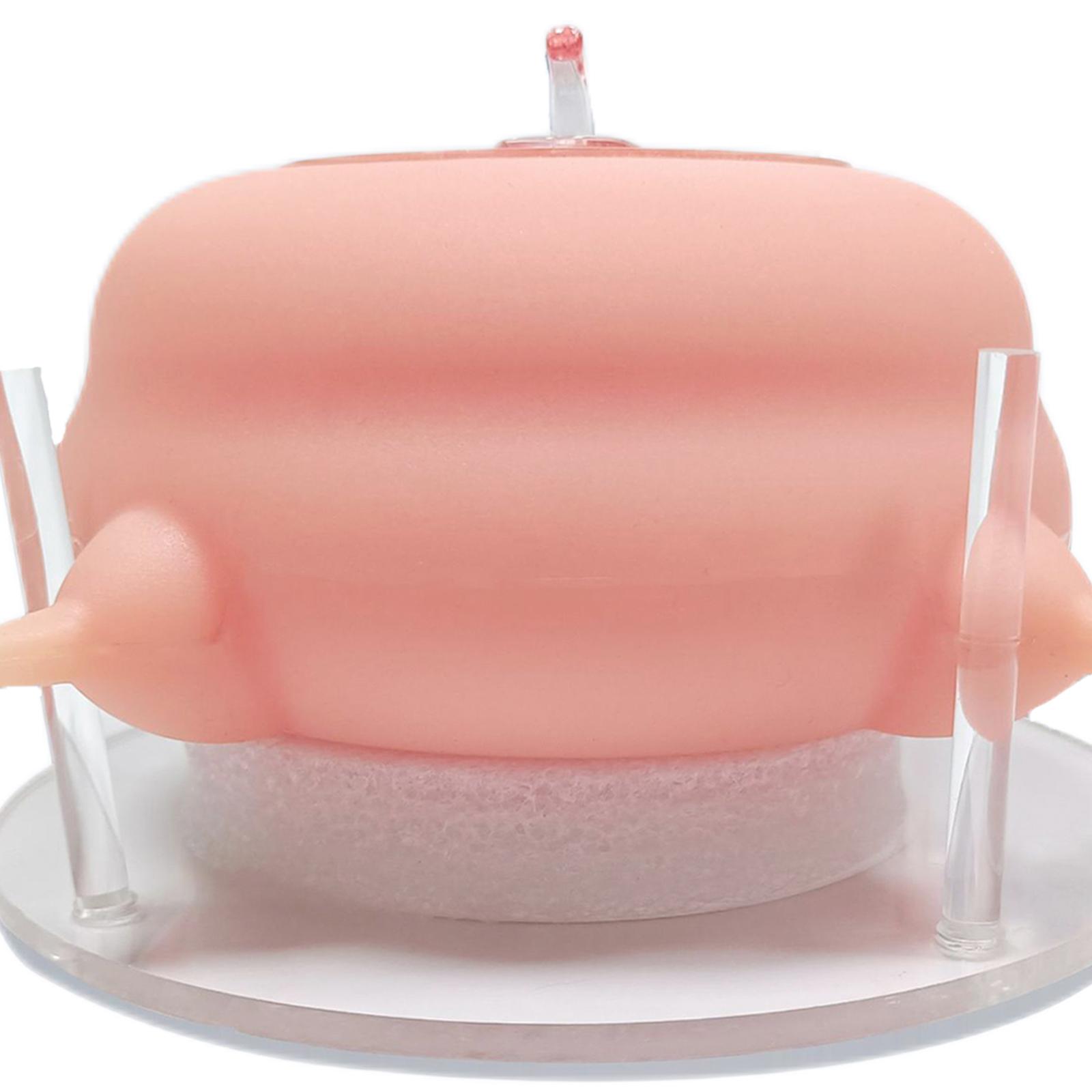 Silicone Puppy Kitten feed Bowl Feeding New Born 4 Nipples pink