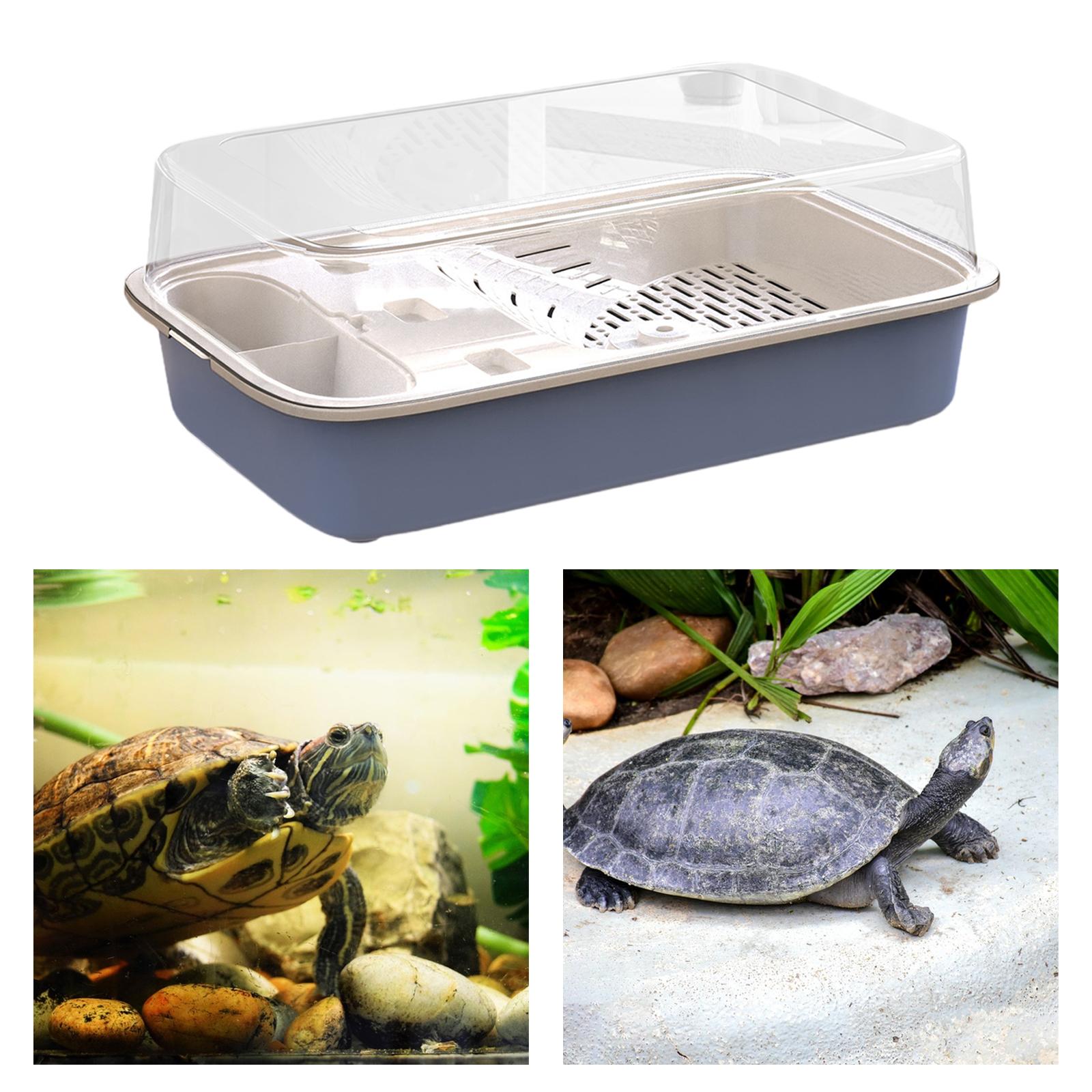 Turtle Tank Aquarium Hatching Feeding Box Resting Tortoise Enclosure Starter blue