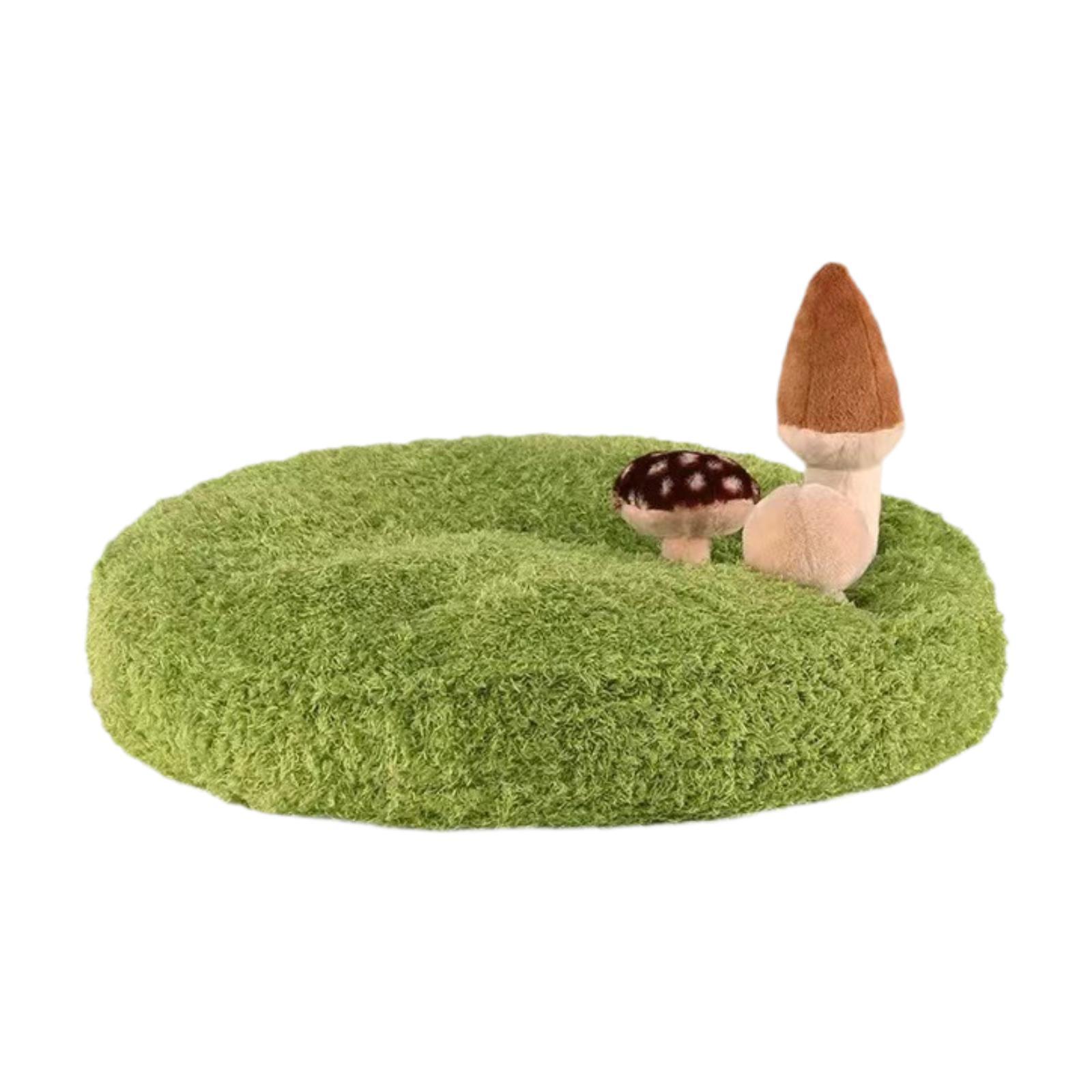 Cat Bed